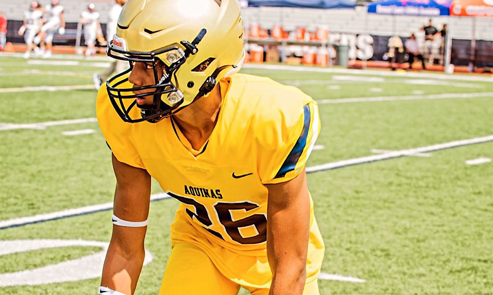 HIGHLIGHTS: Minkah Fitzpatrick's Top Plays of 2022