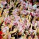 Alabama fans cheer on the Crimson Tide in Bryant-Denny Stadium